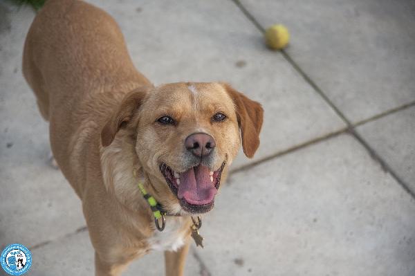 Washy: cercasi umano disposto a farsi rubare il cuore Foto 5
